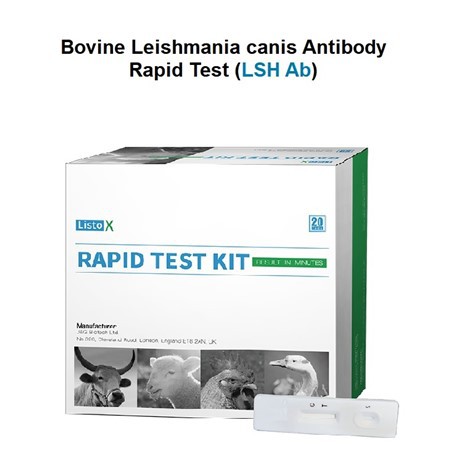 Bovint LSH Ab