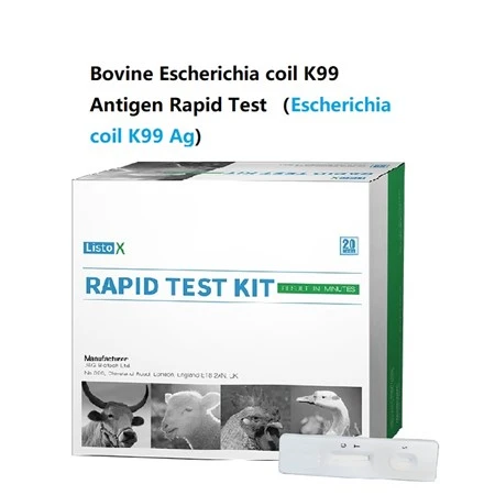 Bovin Escherichia spole K99 Ag